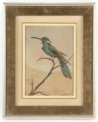 Lot 332 - Renato Cataldi (Brazilian...