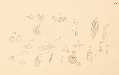 Lot 475 - Strickland (Algernon), Manuscript log of HMS...