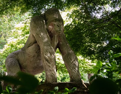 Lot 29 - A Tritonstone figure of a silverback gorilla