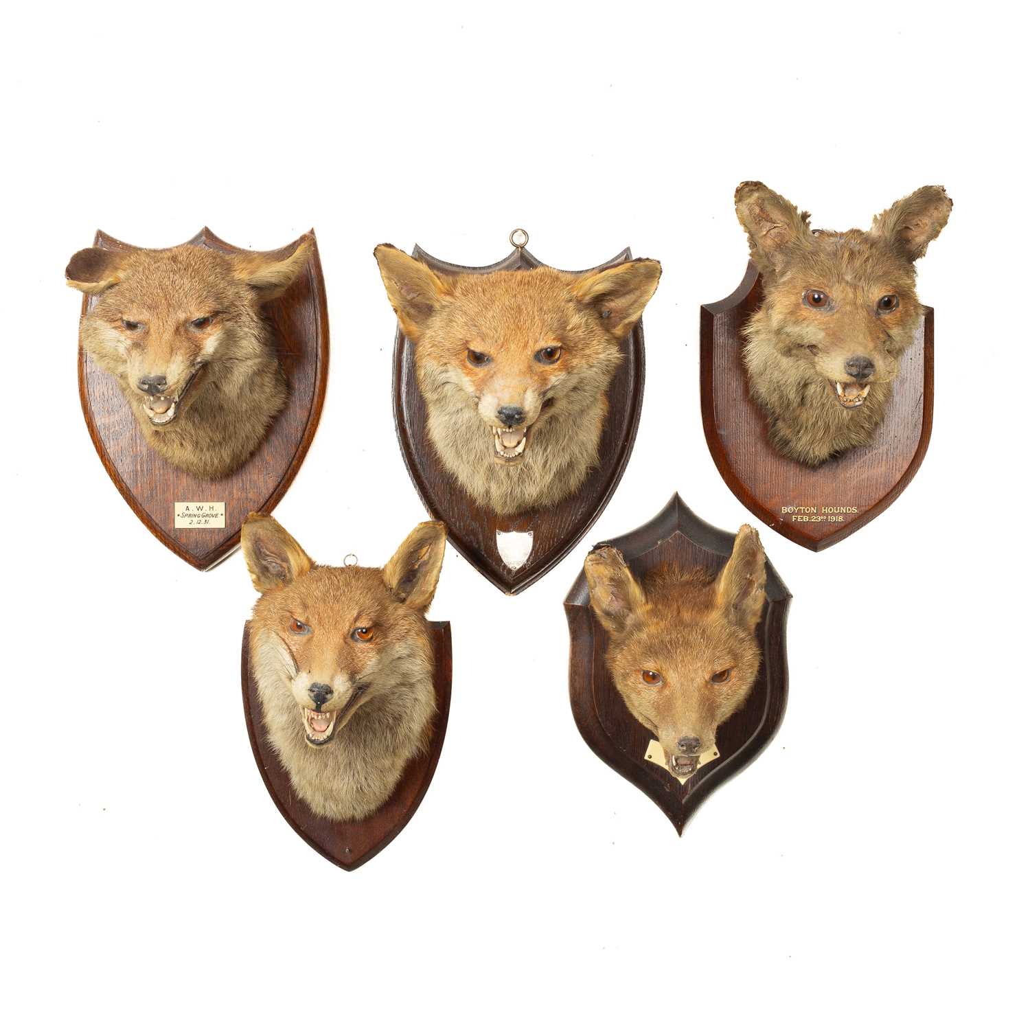 Lot 332 - Five taxidermy fox masks