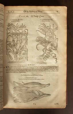 Lot 467 - Gerard (John) The Herball or Generall Historie of Plantes