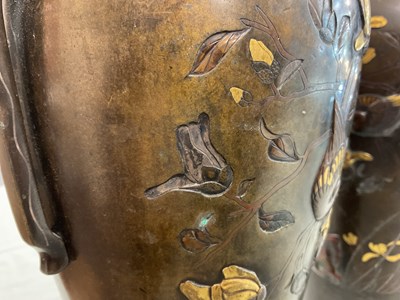 Lot 246 - A pair of Japanese bronze vases