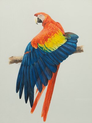 Lot 145 - Jason Roberts (Contemporary)